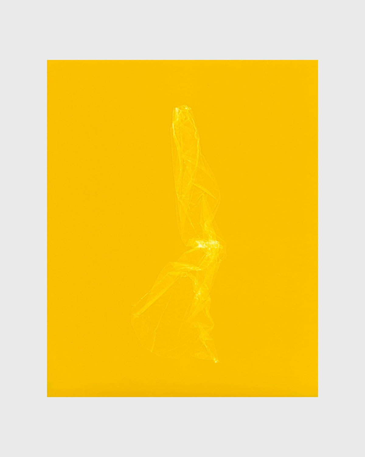 SKINS 5 | Contemporary Photogram Art Print