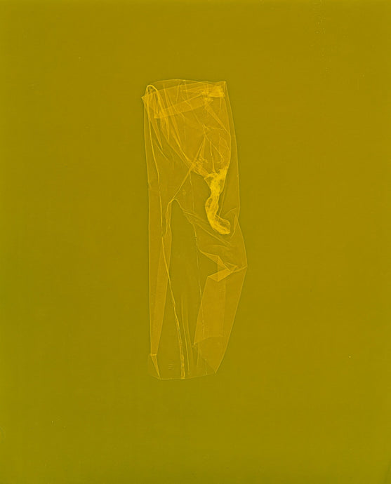 skins_contemporary_photogram_art_print_KatrinaStamatopoulos_the_home_of_sustainable_things_6