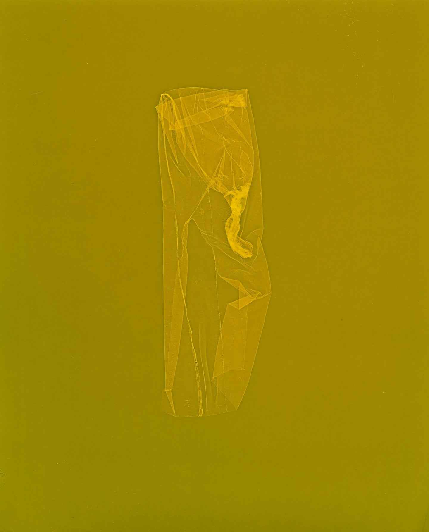 skins_contemporary_photogram_art_print_KatrinaStamatopoulos_the_home_of_sustainable_things_6
