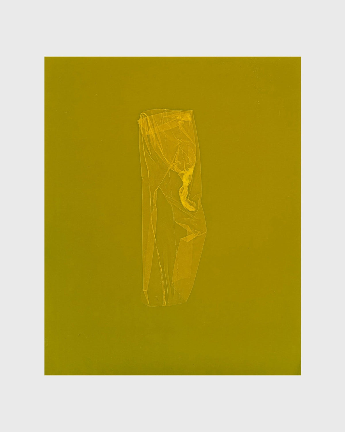 SKINS 6 | Contemporary Photogram Art Print