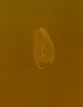 Load image into Gallery viewer, skins_contemporary_photogram_art_print_KatrinaStamatopoulos_the_home_of_sustainable_things_7
