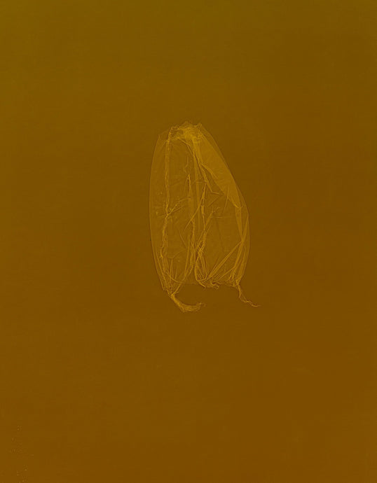 skins_contemporary_photogram_art_print_KatrinaStamatopoulos_the_home_of_sustainable_things_7