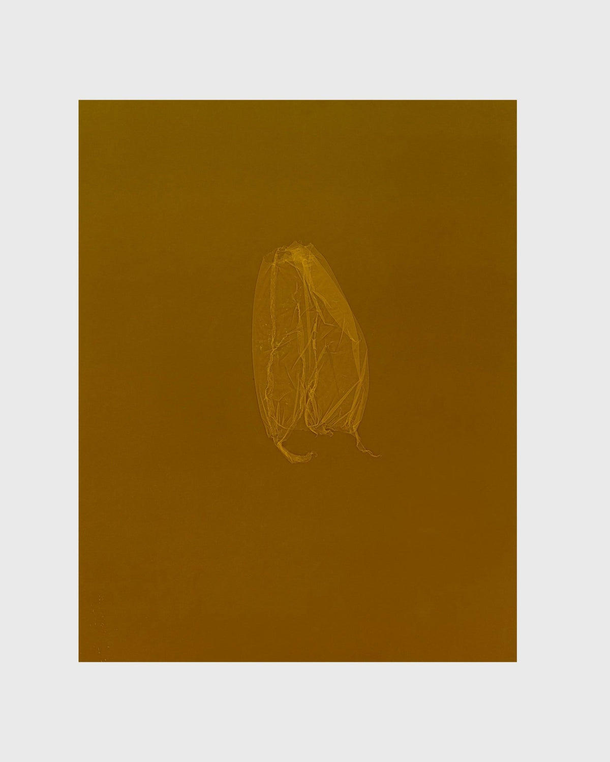 SKINS 7 | Contemporary Photogram Art Print