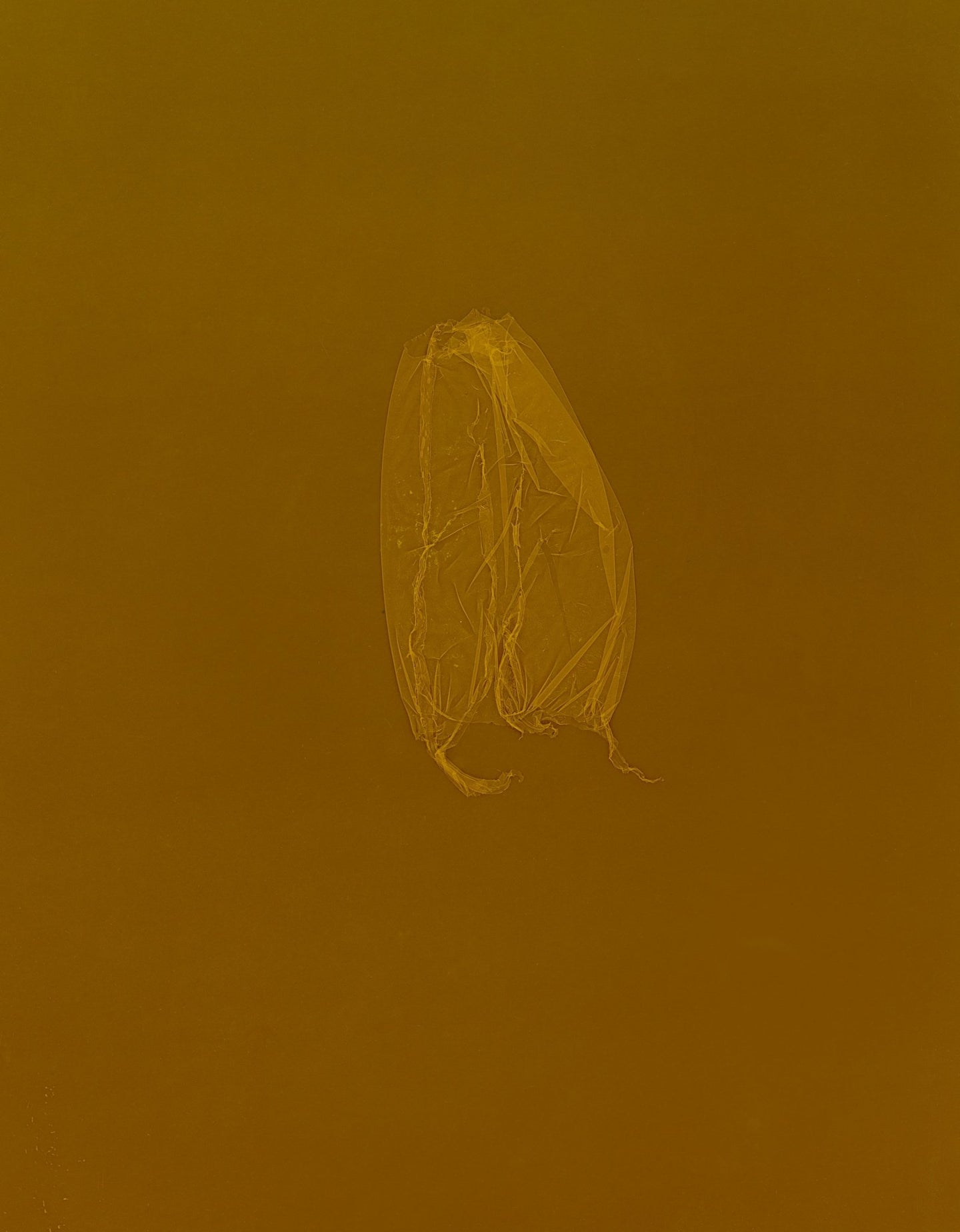 skins_contemporary_photogram_art_print_KatrinaStamatopoulos_the_home_of_sustainable_things_7