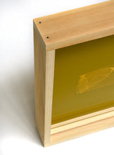 Load image into Gallery viewer, skins_contemporary_photogram_art_print_KatrinaStamatopoulos_the_home_of_sustainable_things_9
