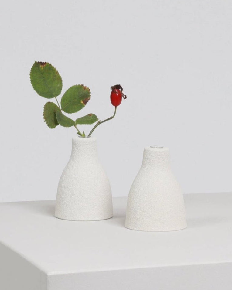 vase_buddy_egg_food_waste_natalie_cole_the_home_of_sustainable_things_