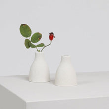 Load image into Gallery viewer, vase_buddy_egg_food_waste_natalie_cole_the_home_of_sustainable_things_

