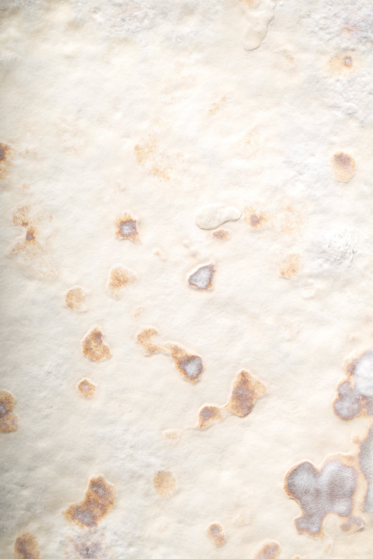 Small Myceen Acoustic Panel | White | Mycelium Biomaterial