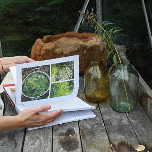 Grow, Cook, Dye, Wear / From seed to style the sustainable way - THE HOME OF SUSTAINABLE THINGS